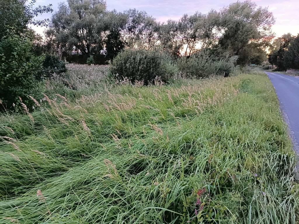 Twój wymarzony kawałek natury w Kłodowie - 1800 m²
