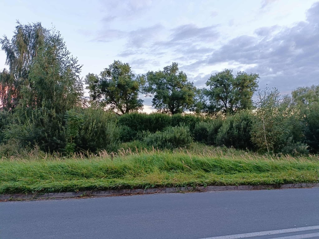Twój wymarzony kawałek natury w Kłodowie - 1800 m²