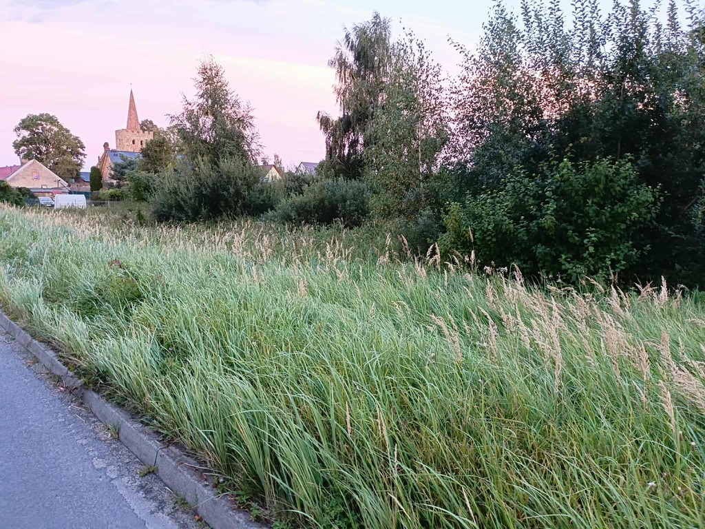 Twój wymarzony kawałek natury w Kłodowie - 1800 m²