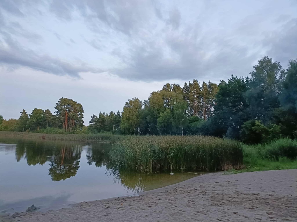 Twój wymarzony kawałek natury w Kłodowie - 1800 m²