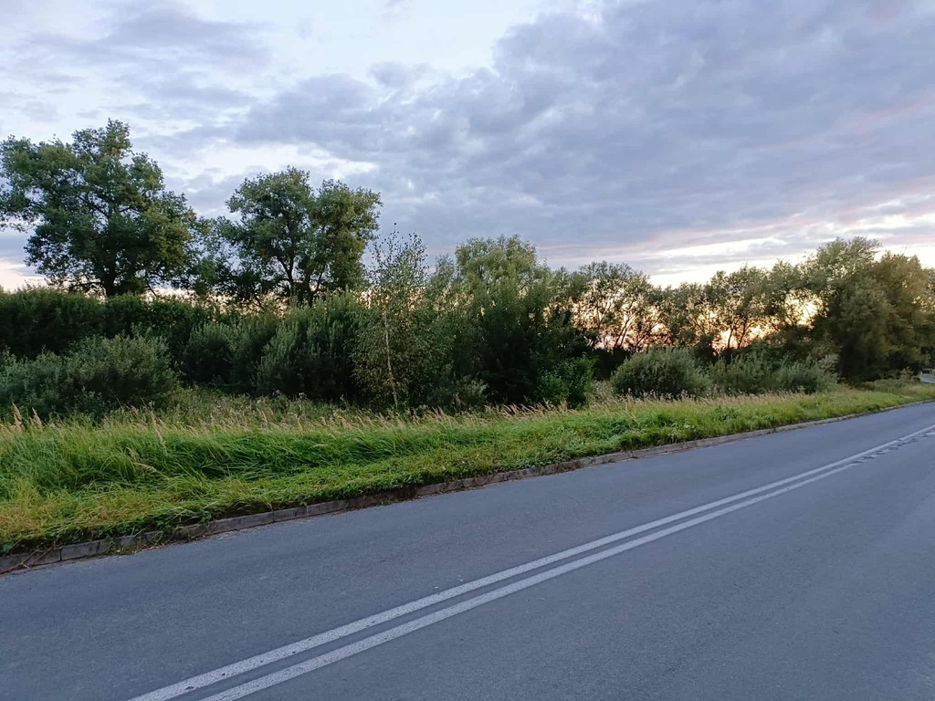 Twój wymarzony kawałek natury w Kłodowie - 1800 m²