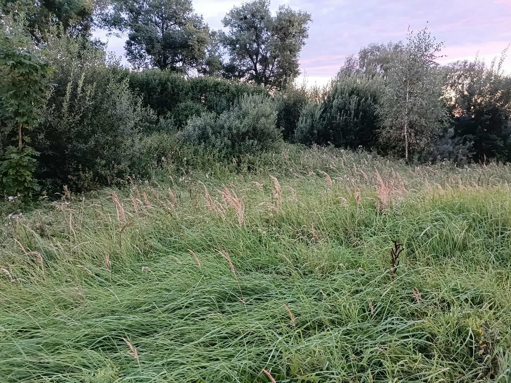 Twój wymarzony kawałek natury w Kłodowie - 1800 m²