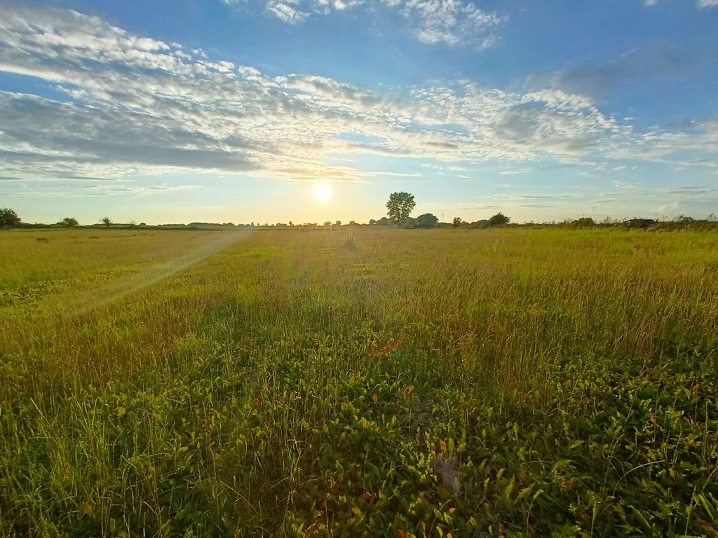Działka z przyszłością – idealna inwestycja!