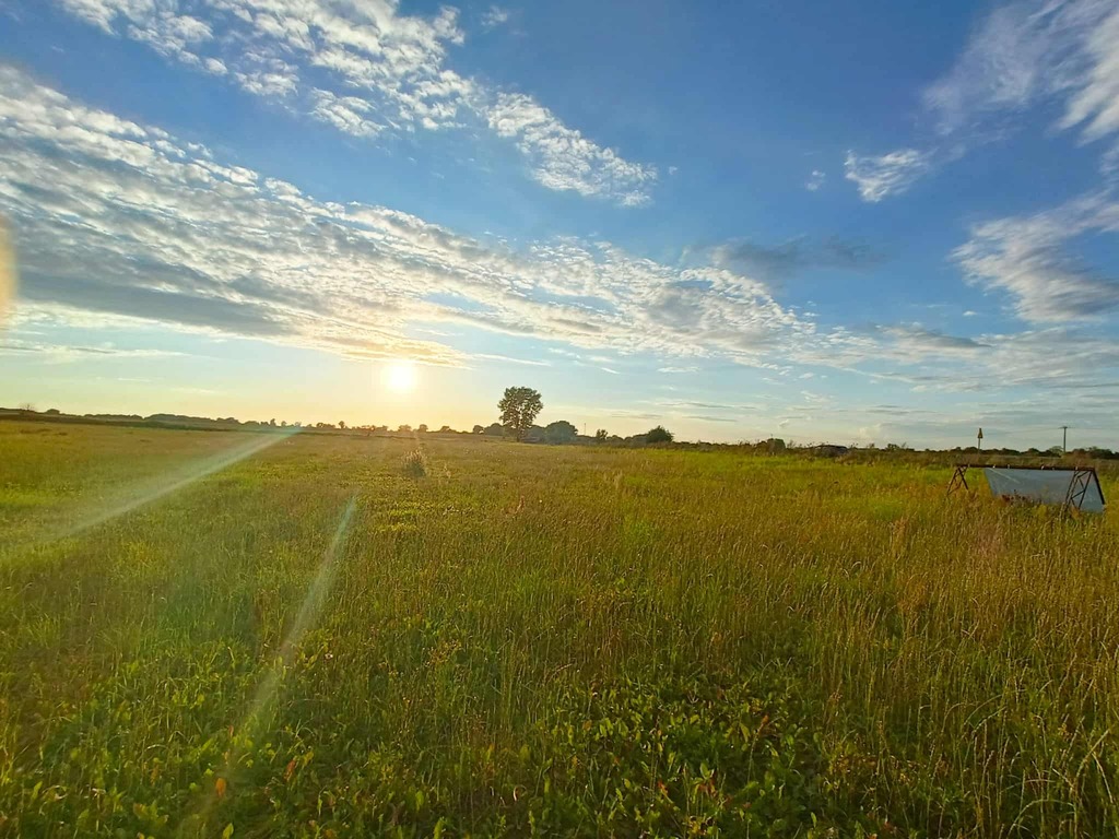 Działka z przyszłością – idealna inwestycja!