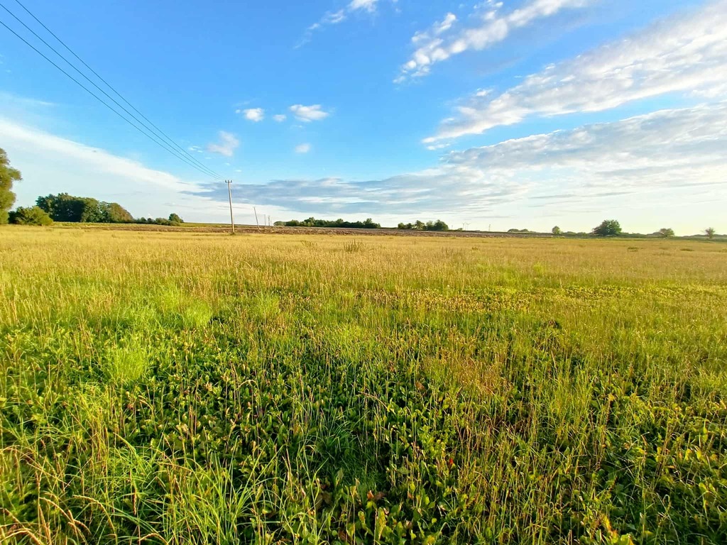 Działka z przyszłością – idealna inwestycja!