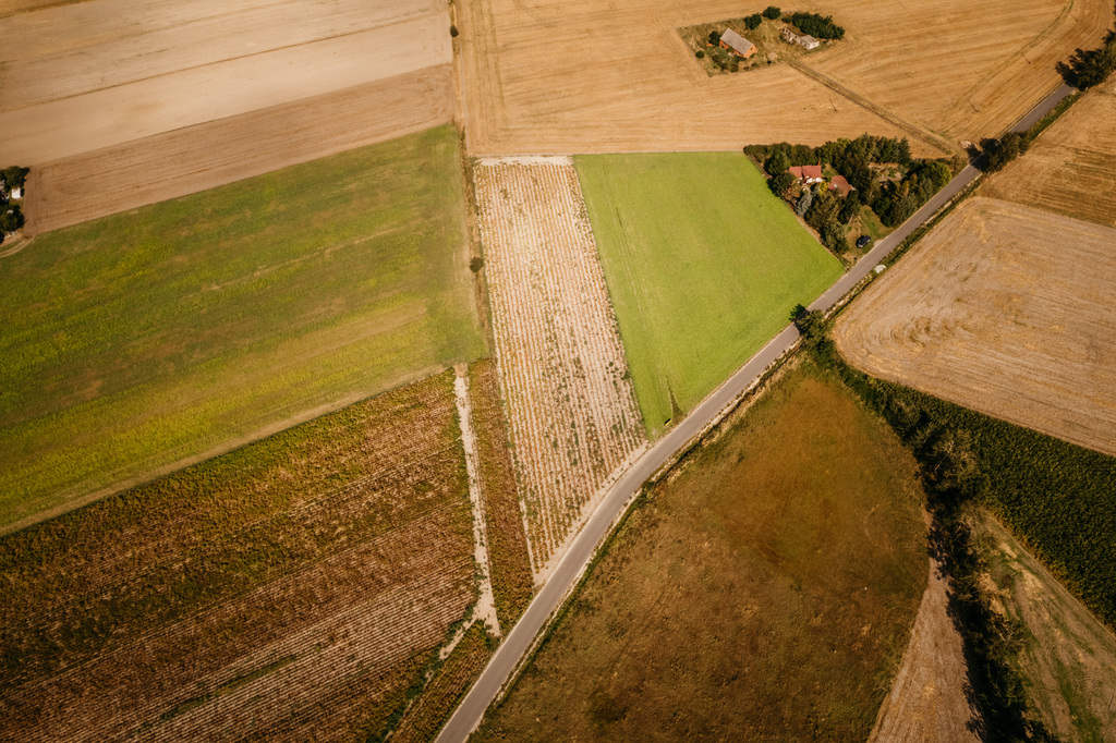 Dobieszczezna -  działki budowlane.