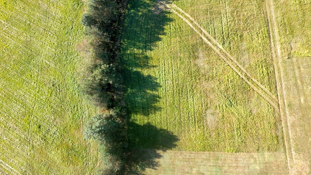 Marzenia o domu w Czernej – 90 zł/m²