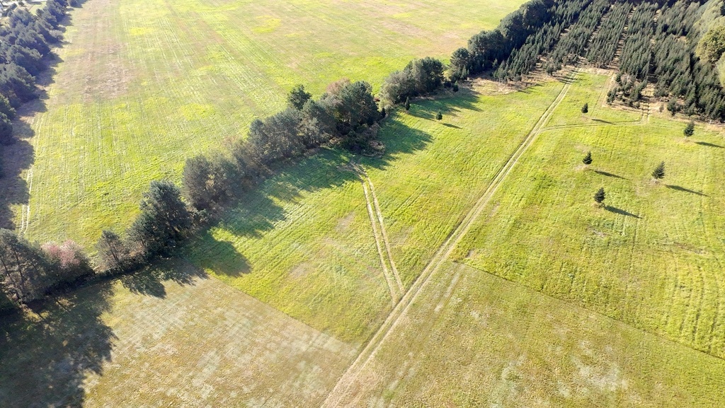 Marzenia o domu w Czernej – 90 zł/m²