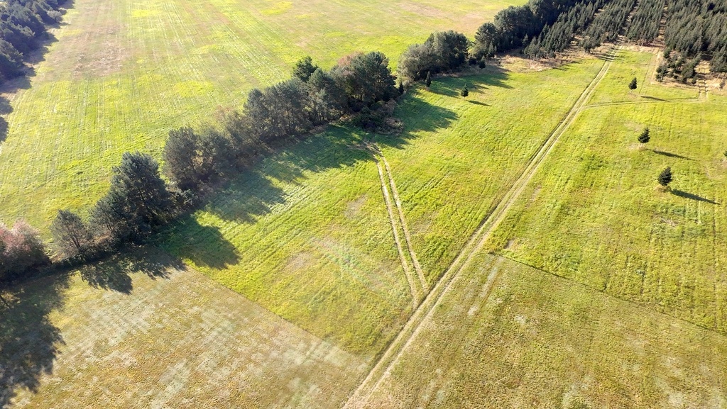 Marzenia o domu w Czernej – 90 zł/m²