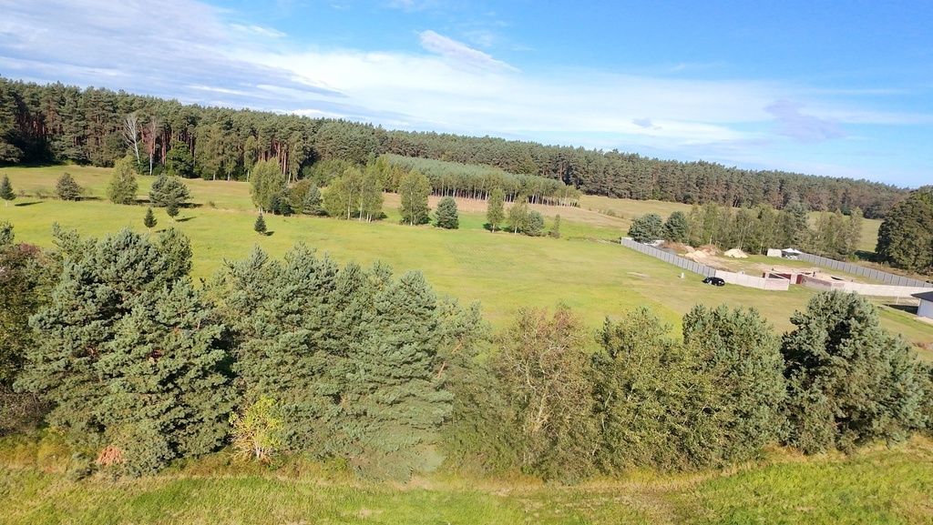Marzenia o domu w Czernej – 90 zł/m²