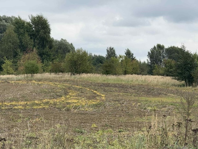 DZIAŁKA SPRZEDAŻ