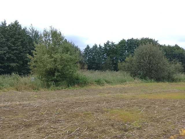 DZIAŁKA SPRZEDAŻ