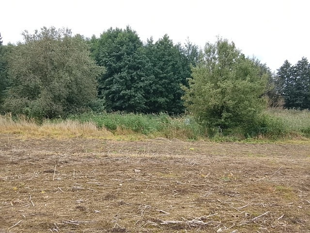 DZIAŁKA SPRZEDAŻ