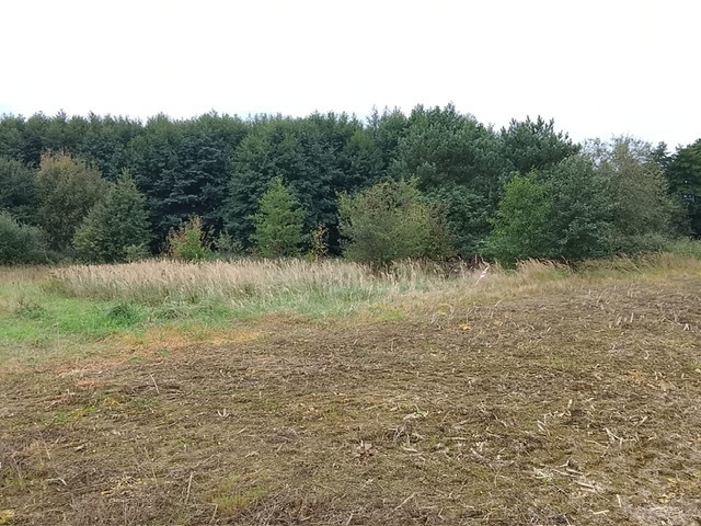 DZIAŁKA SPRZEDAŻ