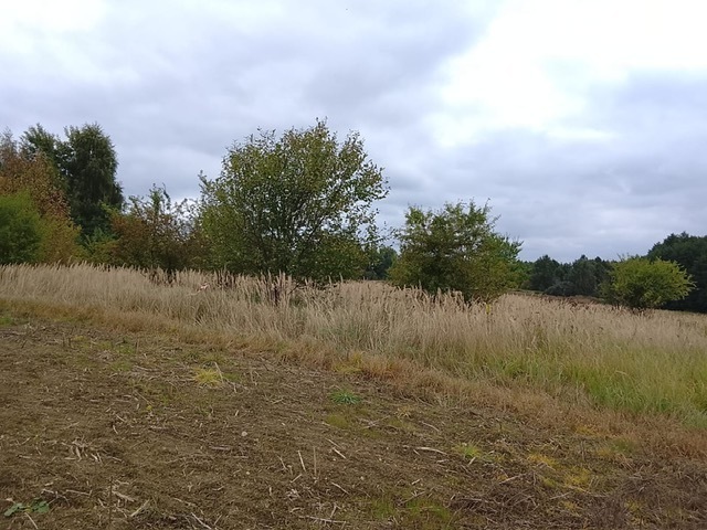 DZIAŁKA SPRZEDAŻ