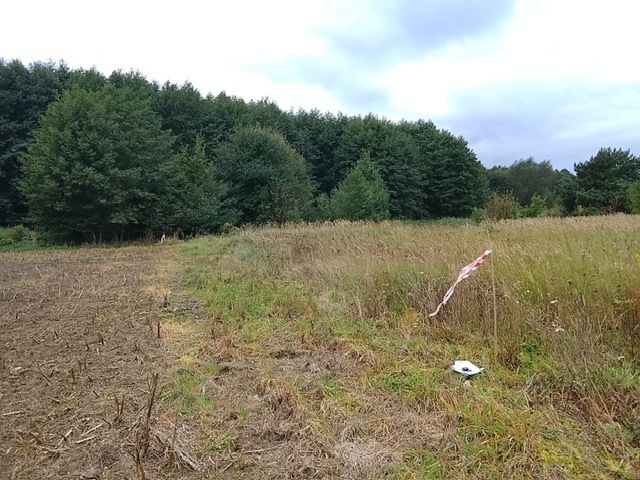 DZIAŁKA SPRZEDAŻ
