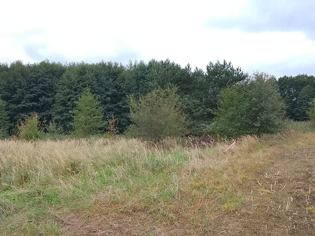 DZIAŁKA SPRZEDAŻ