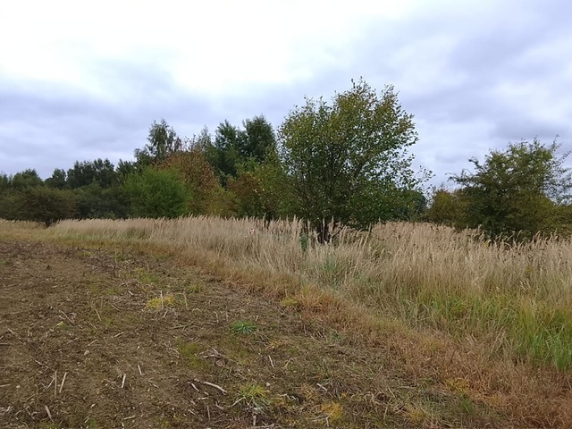 DZIAŁKA SPRZEDAŻ
