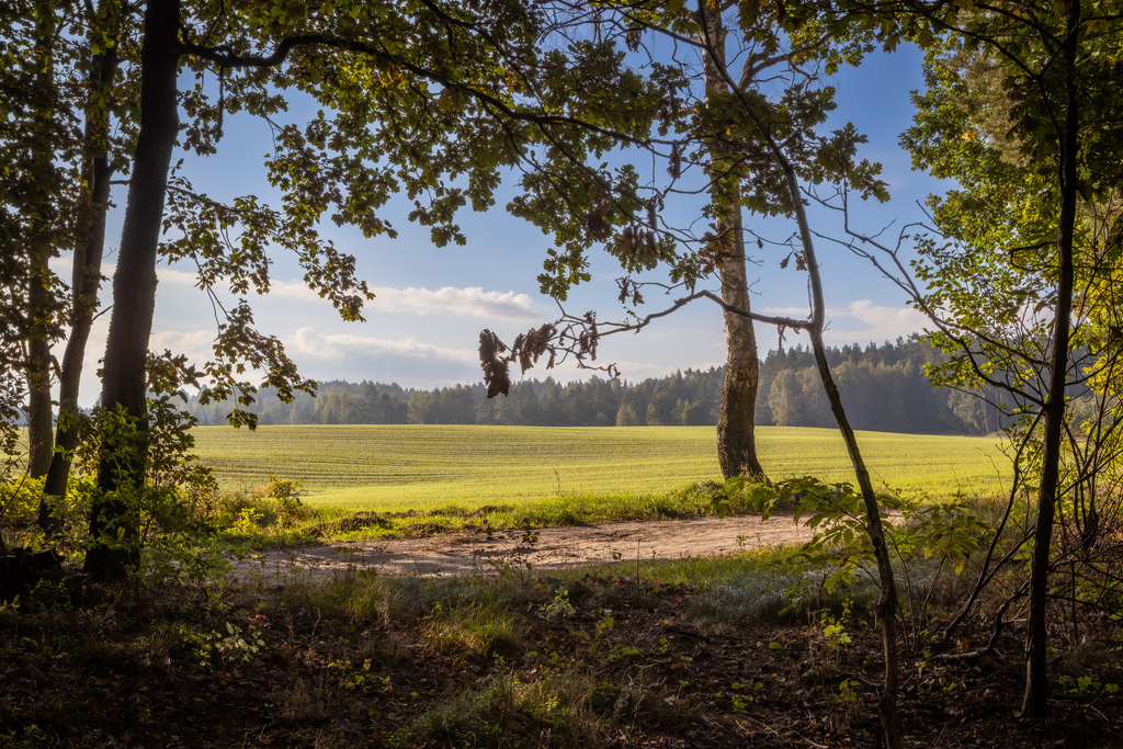Obudź się nad jeziorem – działki na sprzedaż