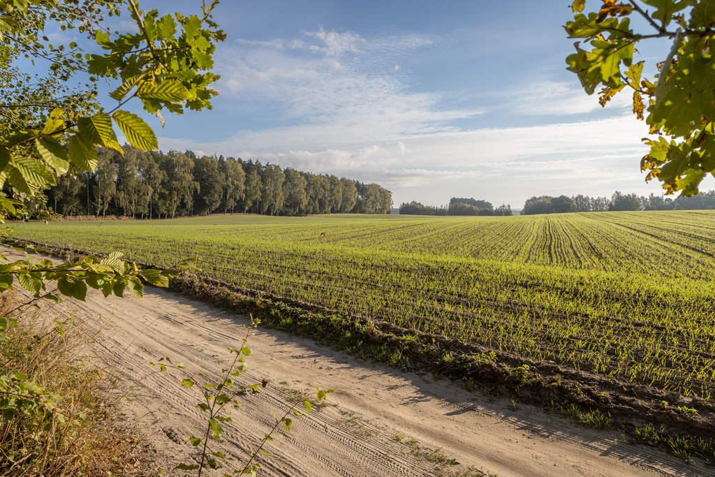Obudź się nad jeziorem – działki na sprzedaż