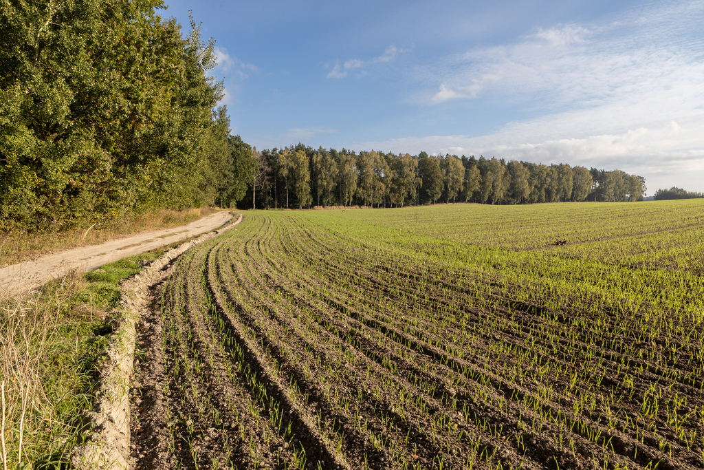 Obudź się nad jeziorem – działki na sprzedaż