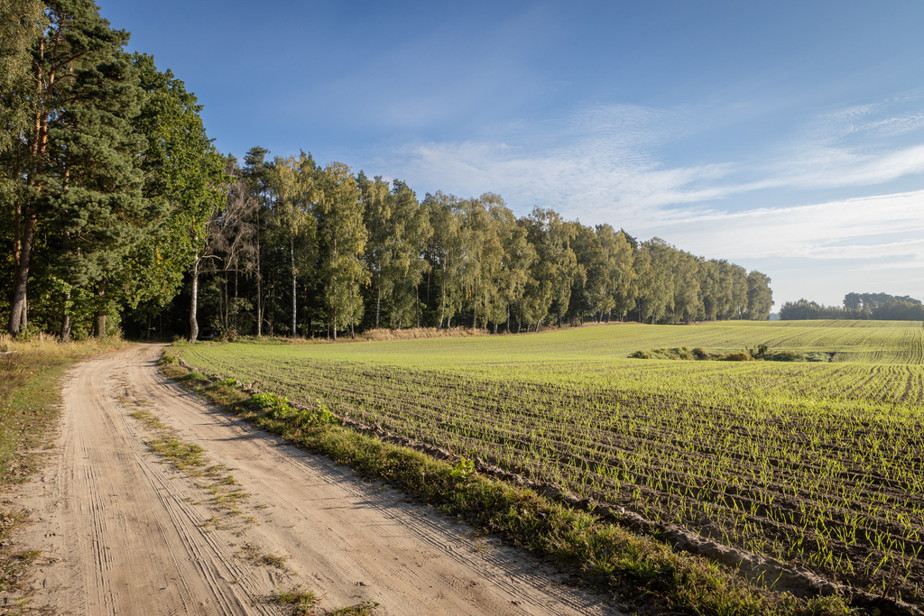 Obudź się nad jeziorem – działki na sprzedaż