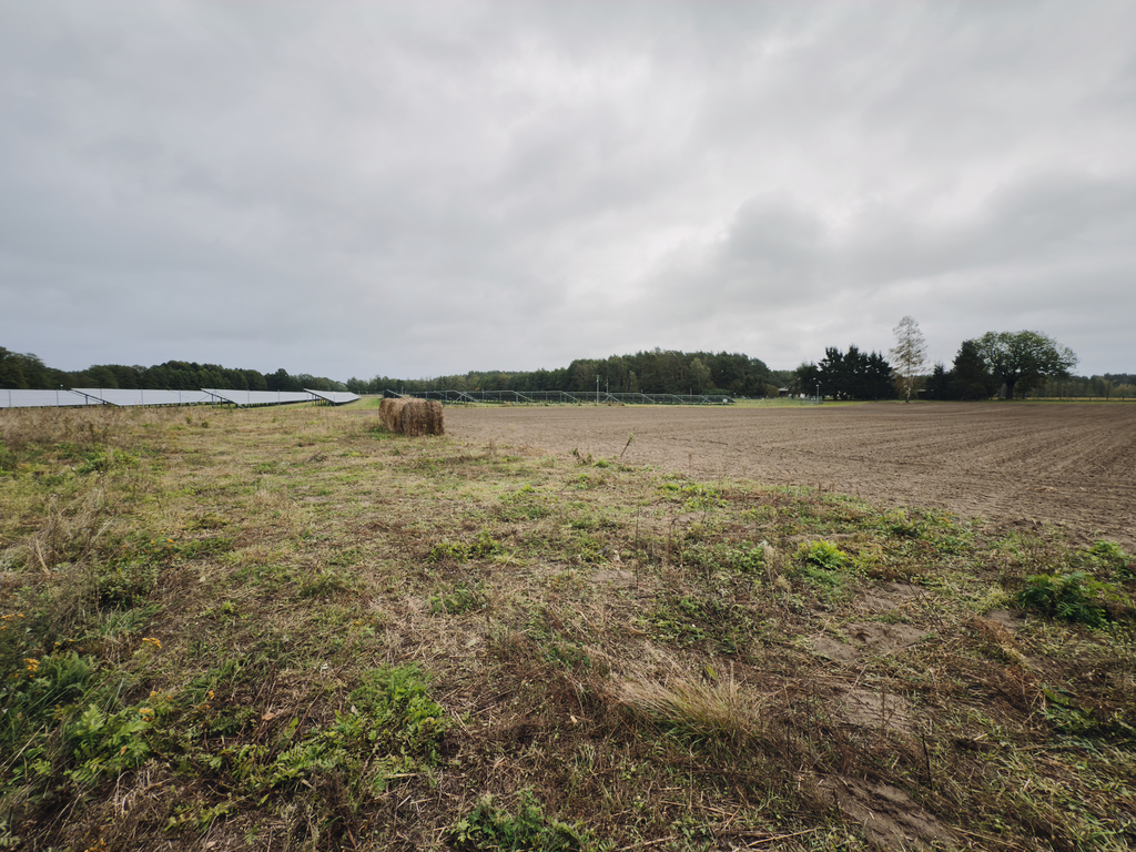 Działka 1681 m² – otoczona lasem i łąkami