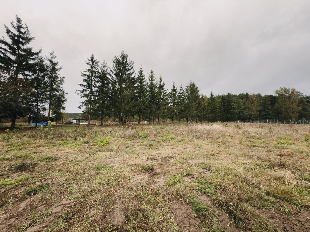 Działka 1681 m² – otoczona lasem i łąkami