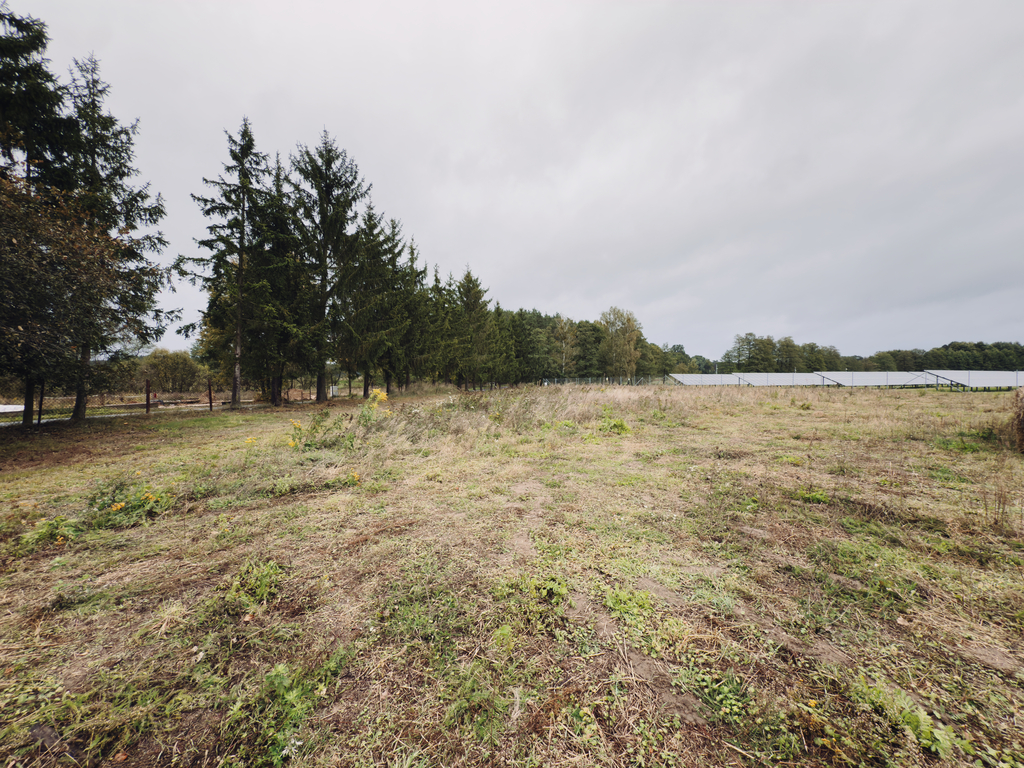 Działka 1681 m² – otoczona lasem i łąkami