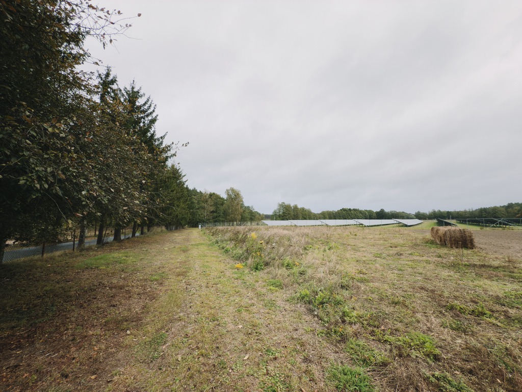 Działka 1681 m² – otoczona lasem i łąkami
