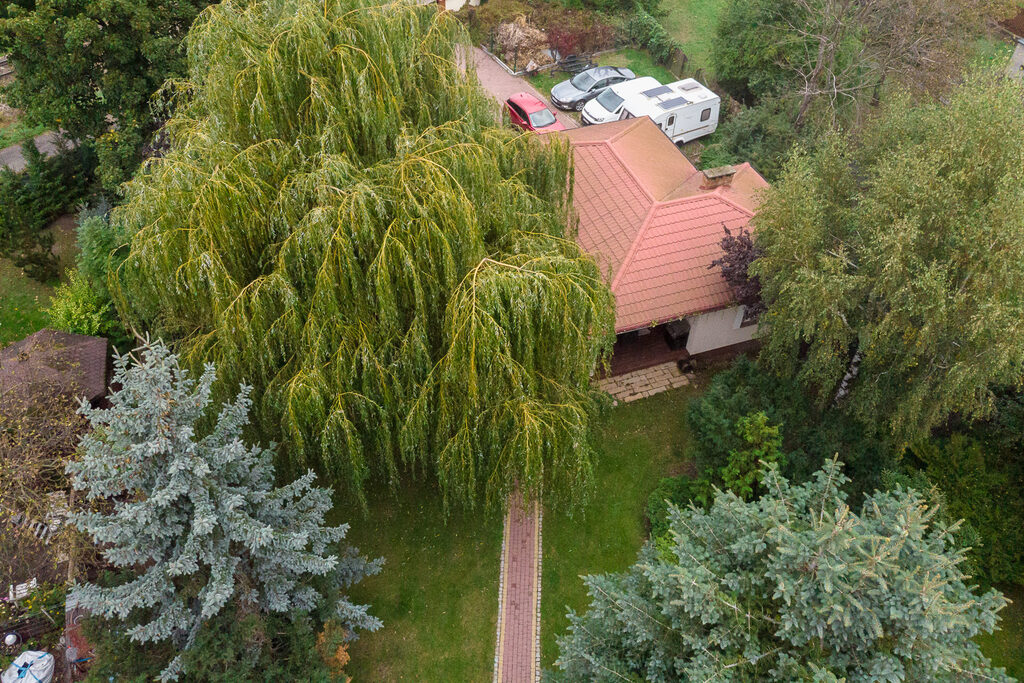 Dom z biurem, dwie KW, Płock