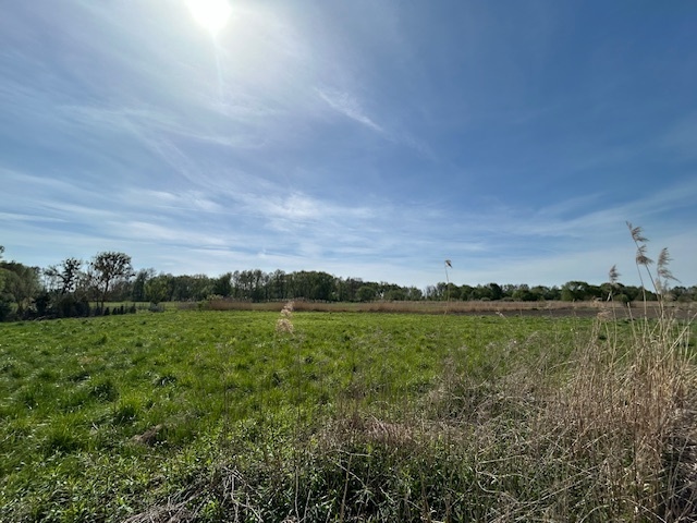 Cisza, natura i gotowy projekt domu-Raków