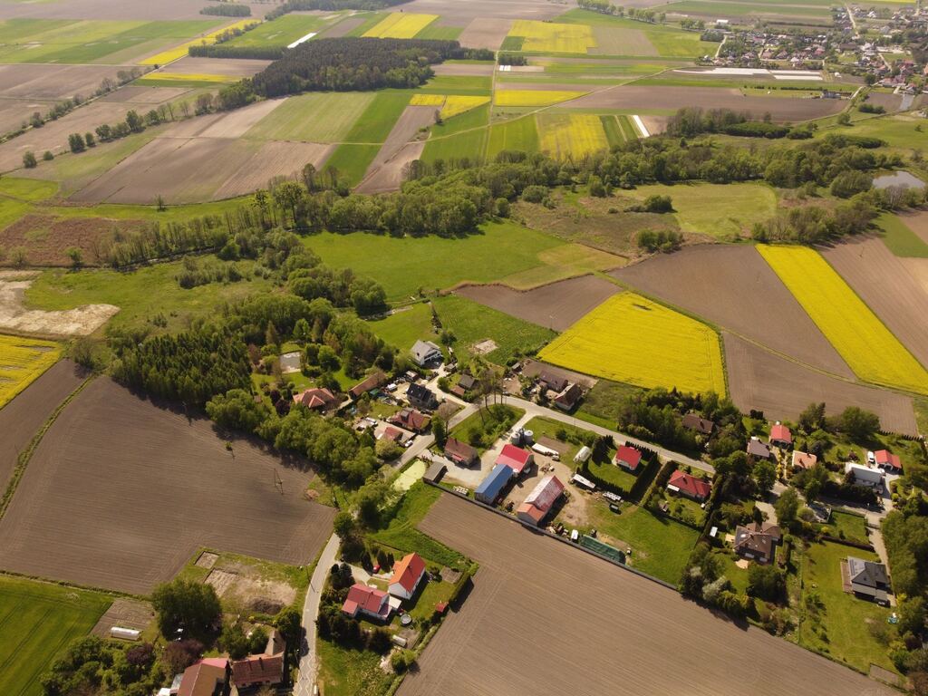 Cisza, natura i gotowy projekt domu-Raków