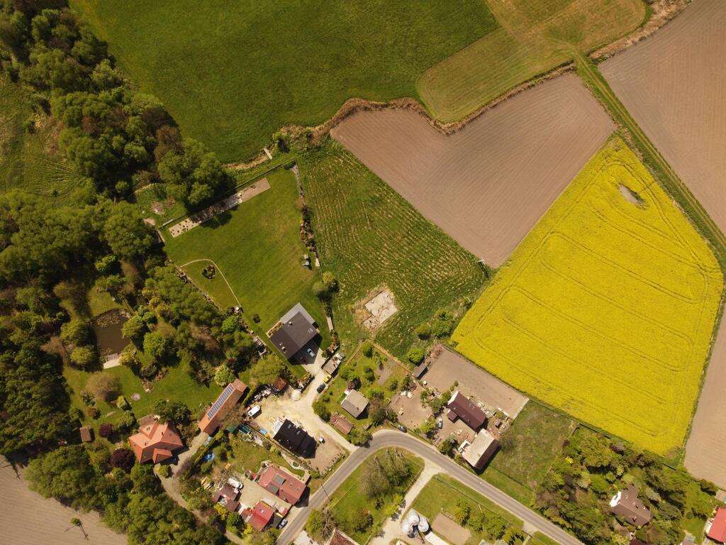 Cisza, natura i gotowy projekt domu-Raków