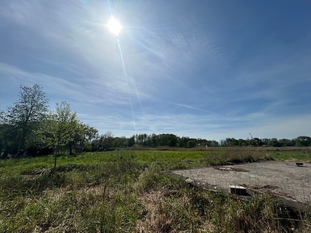 Cisza, natura i gotowy projekt domu-Raków