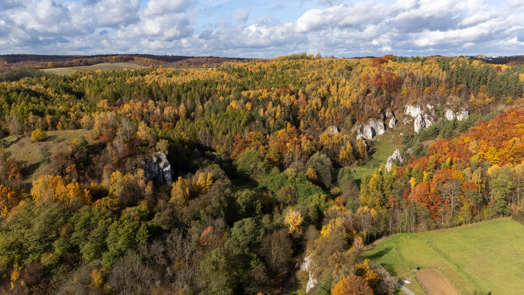 Dom przy Dolinie Kobylańskiej, 15 arów