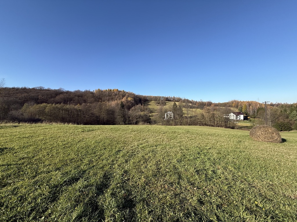 Działka 9700m2 Humniska/Brzozów - WIDOKOWA