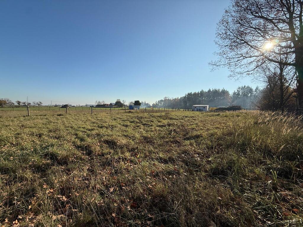 Działka 1512 m² w Miłkowie, blisko lasu