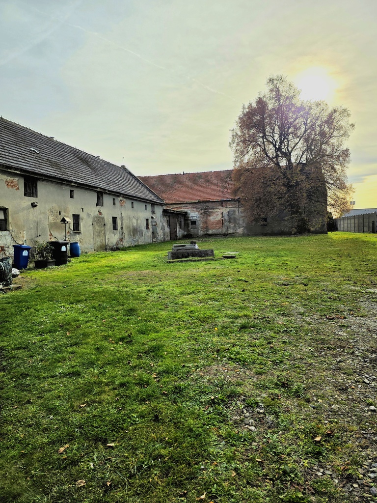 Dom w Minkowicach Oławskich, ul. Kościuszki