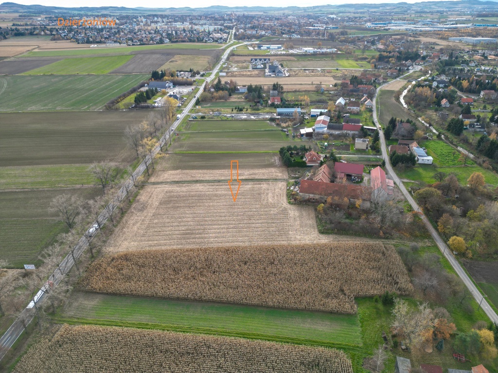 Teren inwestycyjny 1,6 ha (MN/P1 + MN1) | Nowizna