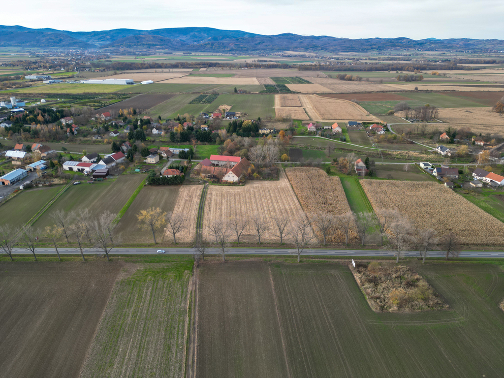 Teren inwestycyjny 1,6 ha (MN/P1 + MN1) | Nowizna