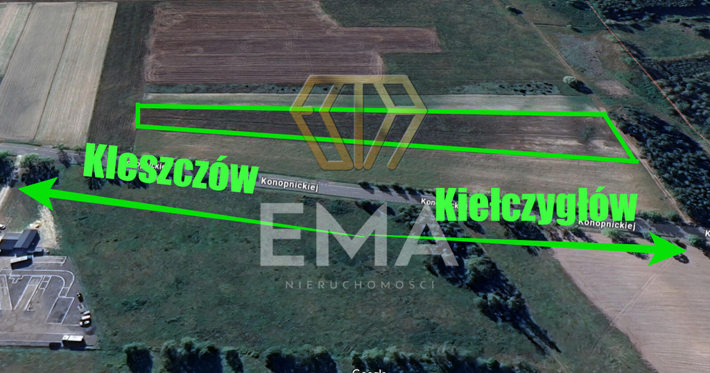 Rząśnia | 10 000 m² pod dom, usługi lub agroturyst