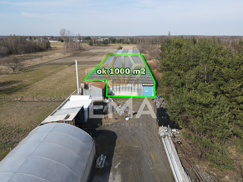 Szklarnia / hala 1000 m² do wynajęcia