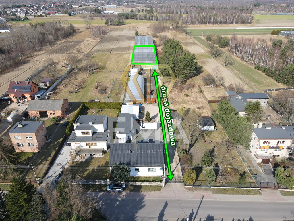 Szklarnia / hala 1000 m² do wynajęcia