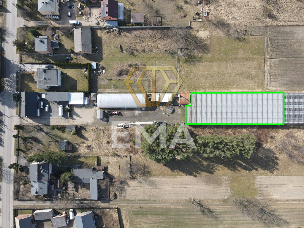 Szklarnia / hala 1000 m² do wynajęcia