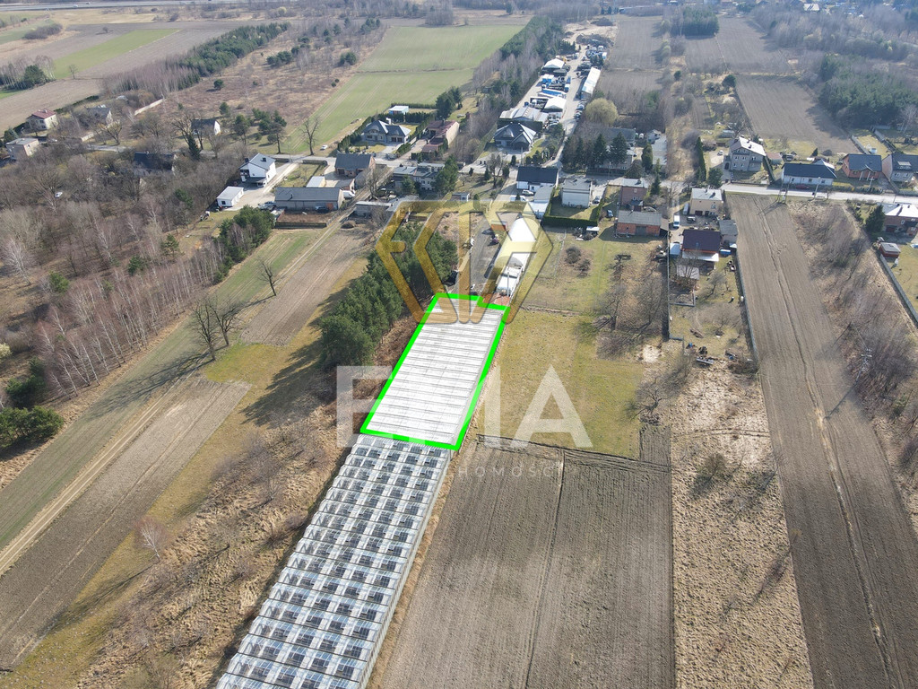 Szklarnia / hala 1000 m² do wynajęcia