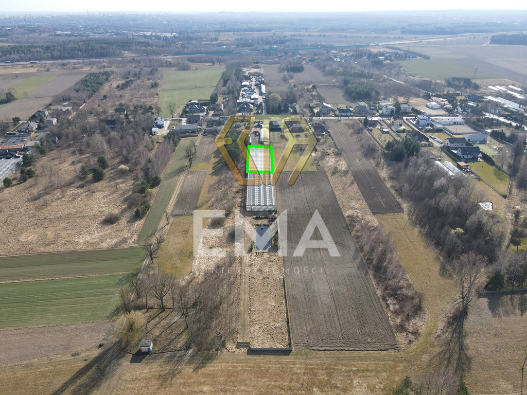 Szklarnia / hala 1000 m² do wynajęcia