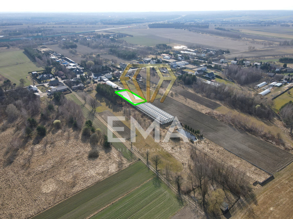 Szklarnia / hala 1000 m² do wynajęcia