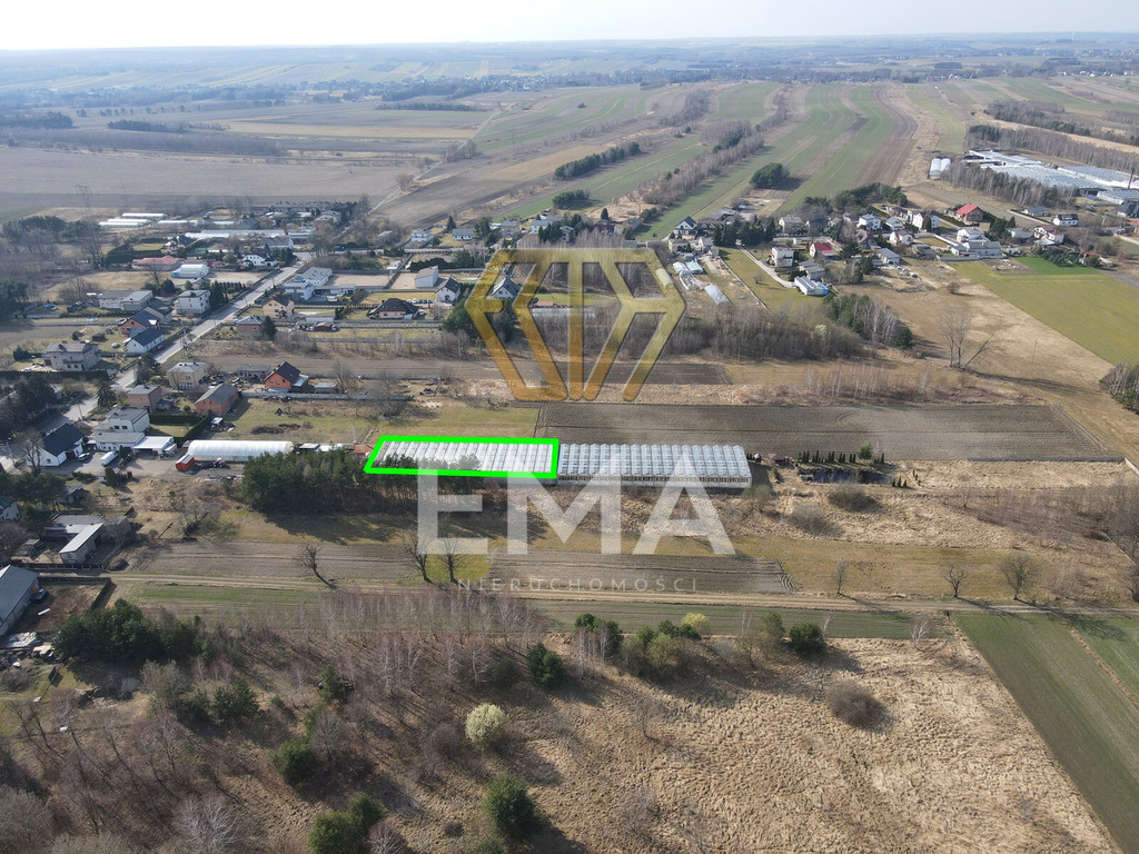 Szklarnia / hala 1000 m² do wynajęcia