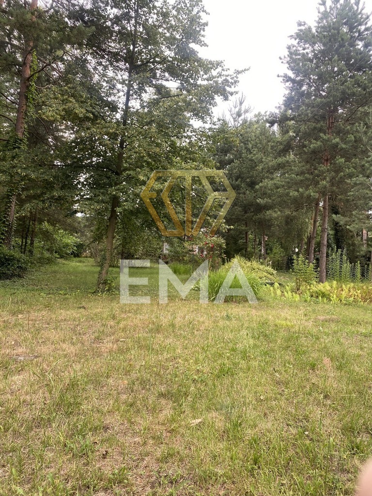 Działka w lesie z domkiem